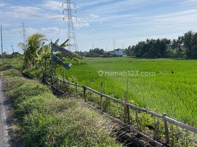 Tanah di Kaba-kaba, Tabanan, Tabanan HS 39 are