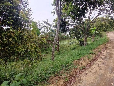 Tanah dijual cijeruk gunung salak Bogor