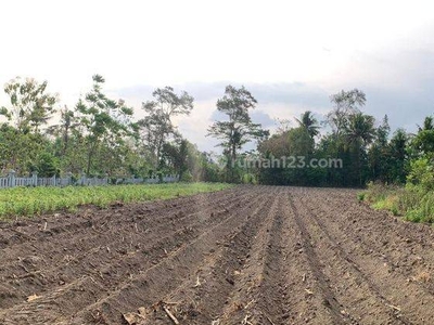 Tanah Jogja Shmp Didekat Lpmp Jalan Jogja Solo Kalasan Sleman