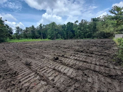 Tanah Kapling Murah Bantul, Dekat Padma Kasihan