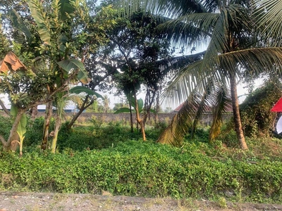 Tanah Kavling 8 Menit Kampus UII Cocok Untuk Rumah Hunian di Jogja Uta