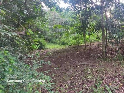 Tanah Murah dekat Pasar Cebongan di Seyegan Sleman Jogja Siap Bangun