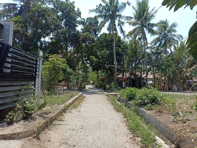 Tanah Murah dekat SMKN 1 Pundong