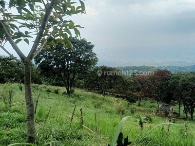 Tanah murah di jual cepat Cijeruk Bogor