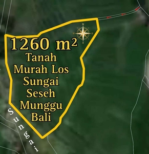 Tanah Murah Los Sungai Seseh Munggu Bali