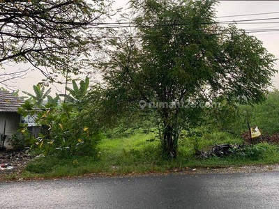 Tanah Murah Pinggir Jalan Raya di Jalan Transyogi Cariu Bogor