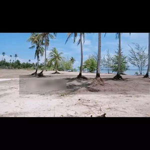 Tanah private island pulau bintan 5 hektar