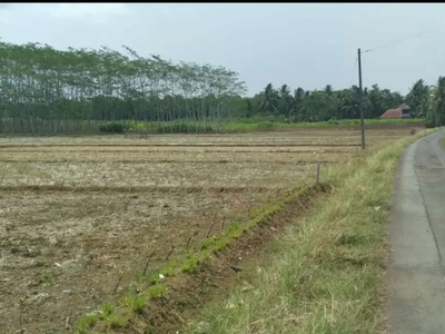 Tanah sawah 58 ubin pinggir jalan bandara jbs