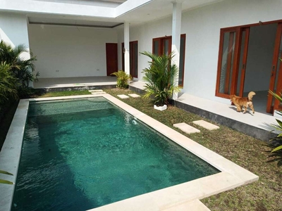 Villa for Rent at Batu Bolong Canggu