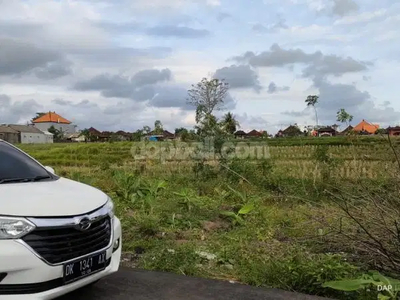1,200sqm land amidst rice fields located in Tanah Lot, Tabanan, Bali
