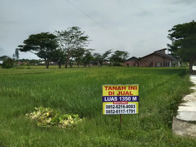 Dijual cepat sawah seluas 1350 m