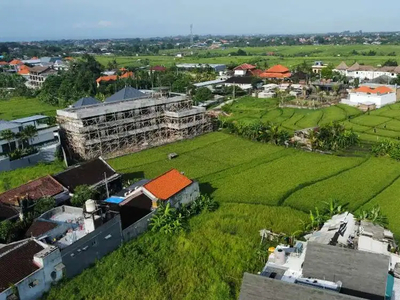 For Sale Tanah 3,89 are View Persawahan Cantik Murah di Canggu Bali