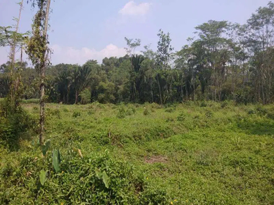 (GA15247-MD) DIJUAL : Tanah hadap Utara di Denpasar, Bali