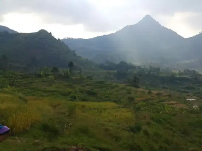 Jual tanah 10 Hektare Di Bogor