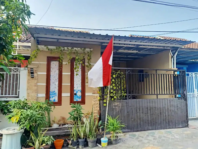 Rumah baru renov, bisa nego