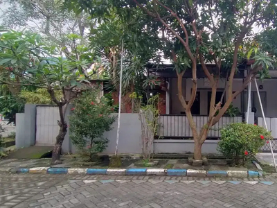 Rumah Murah Hook Selatan Surabaya di Permata Alam Permai Sidoarjo
