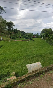 Tanah darat+sawah murah pinggir jalan desa girimekar cijambe Bandung