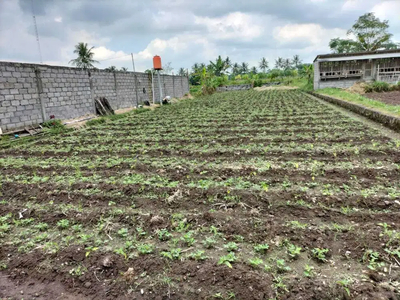 Tanah dijual Dekat pasar wonosari sleman L 797m