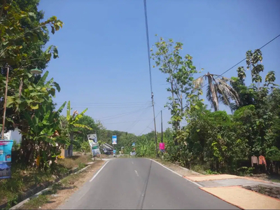 Tanah Jogja Mangku Jalan Aspal 5 Menit Jalan Raya Wates