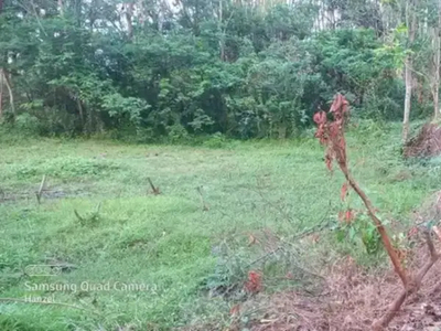 Tanah kebun Deket kali hebeulisuk Maja Arga pura