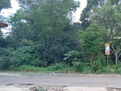 Tanah Kebun Strategis Cengkeh dan Manggis Dijual Murah di Purwakarta