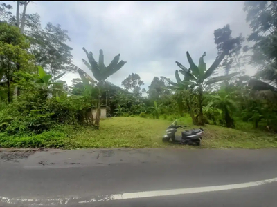 Tanah Pinggir Jalan Baturaden