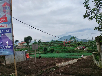 Tanah Sawah Simpang Kenden Penundaan Ciwidey Bandung