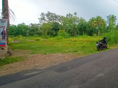 Tanah tepi aspal di barat donoharjo