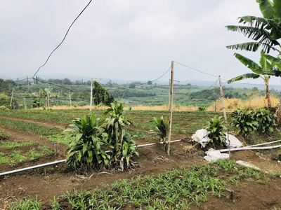 Tanah Villa Kota Batu Akses Jalan Mobil View Gunung