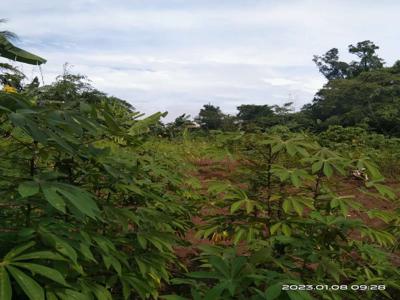 Di jual cepat tanah di legok