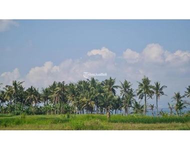 Dijual Tanah LT258 SHM DL Pantai Cemagi Mengening Mengwi - Badung Bali