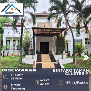 Bintaro Taman Cluster 9 Tangerang Selatan Rumah Bagus Mewah Disewa