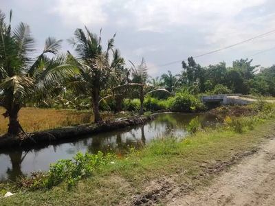 Dijual Lahan Luas 3 Hektar