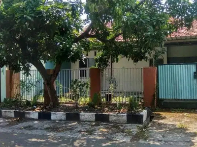 Disewakan Rumah Murah Siap Huni Di Gayungsari Barat Surabaya KT