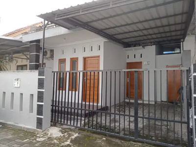 Rumah sewa minimalis di Timoho