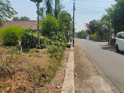 Tanah Dijual Jogja Dekat LPMP Kalasan, Utara Candi Prambanan SHM