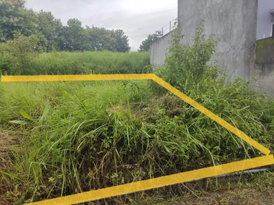 Tanah Jangli Burangrang Dekat Tembalang Undip