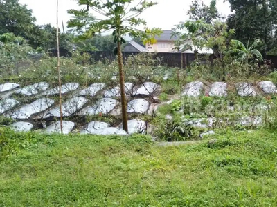 Tanah Perkebunan di Bandungan, Semarang