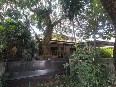 Jarang ada Langka Rumah lama hitung tanah sayap Riau Anggrek bandung