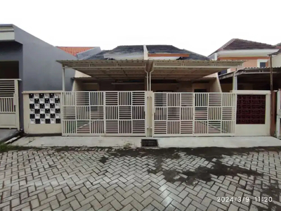 Rumah Baru Siap Huni
Lokasi Medokan Ayu Rungkut Surabaya