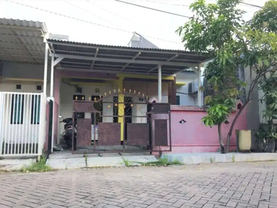 Rumah dikontrakkan (disewakan) Sukolilo Dian Regency I Jl. Makmur V/11