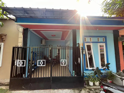 Rumah Murah Hadap Timur Dekat SMA Tarakanita Gading Serpong J-13879