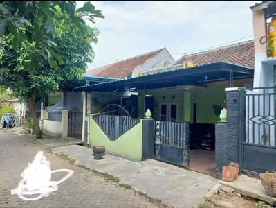 Rumah Siap Huni Bulasan Ketapang Banyuwangi