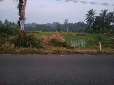 Tanah dan Sawah di Lampung Selatan