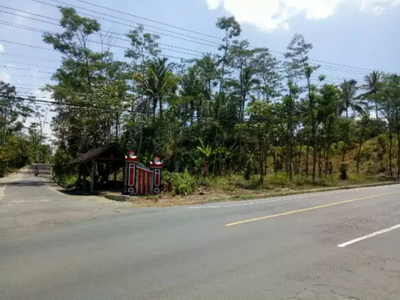 Tanah Kering/Pekarangan Murah Hadap Jalan Raya Nasional Semarang-Solo