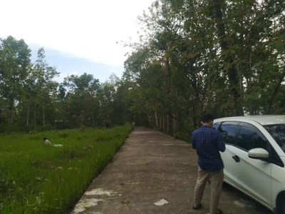 Tanah SHM Jogja Barat, Selatan Perum Ndalem Giripeni Wates