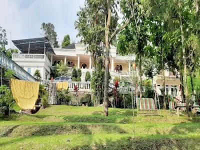 Dijual Villa Bagus Dalam Kompleks Villa Di Cusarua Puncak Jawa Barat
