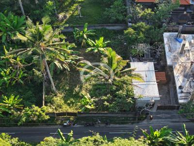 Dikontrakan tanah, di Lod Tunduh, Ubud, Gianyar