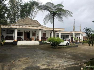 Rumah Bagus Cocok Homestay SHM di Tritis Turgo Pakem, Sleman