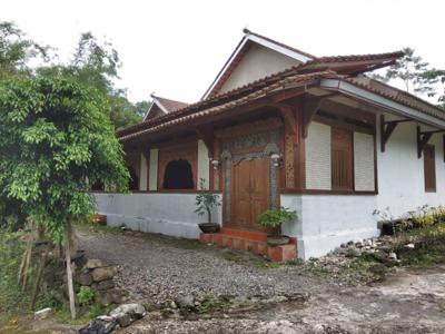 Rumah Etnik Jawa Modern di jalan Cangkringan Sleman